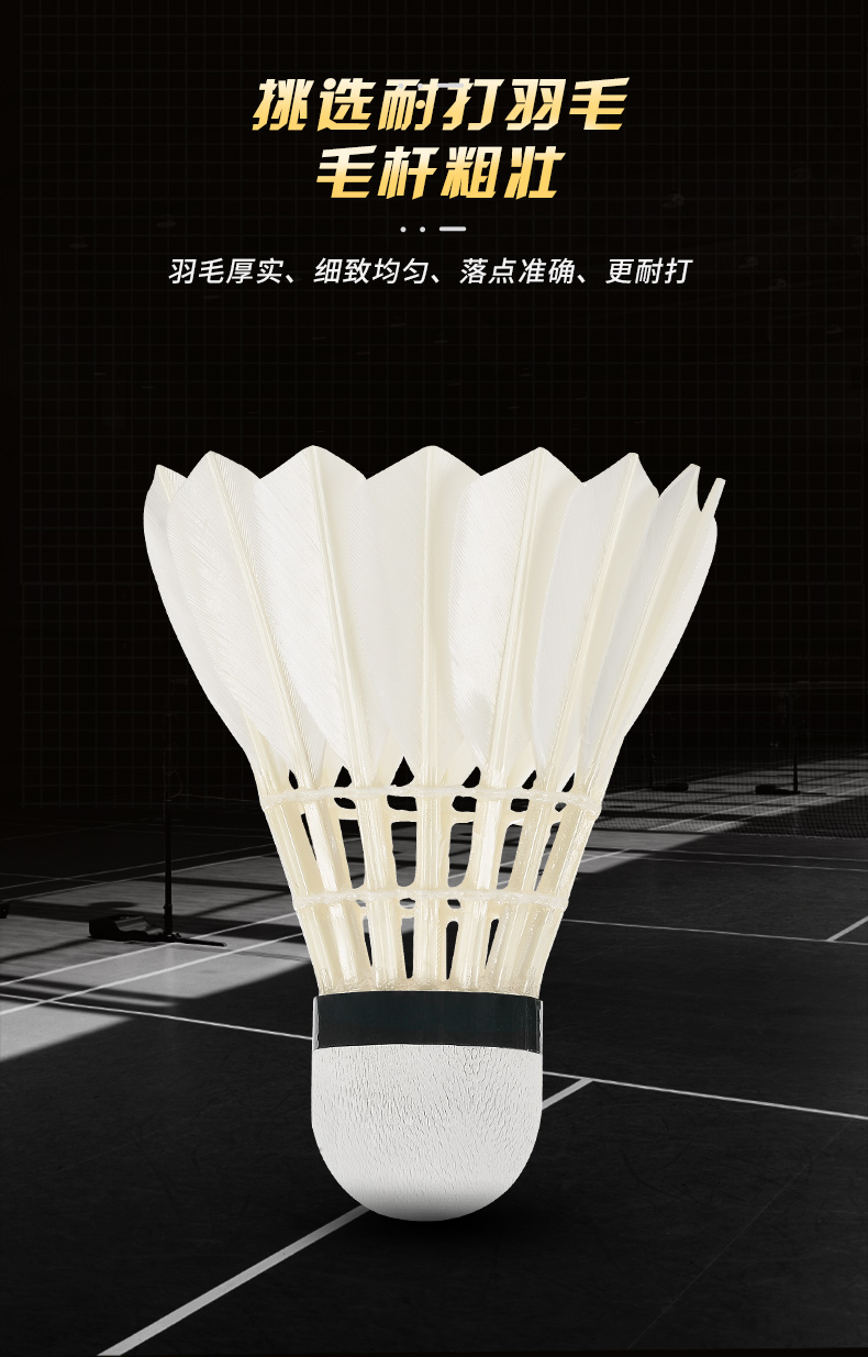 전문가용 배드민턴 공 G200 화이트 거위 깃털 훈련  - Badminton Victor 리뷰 및 가격