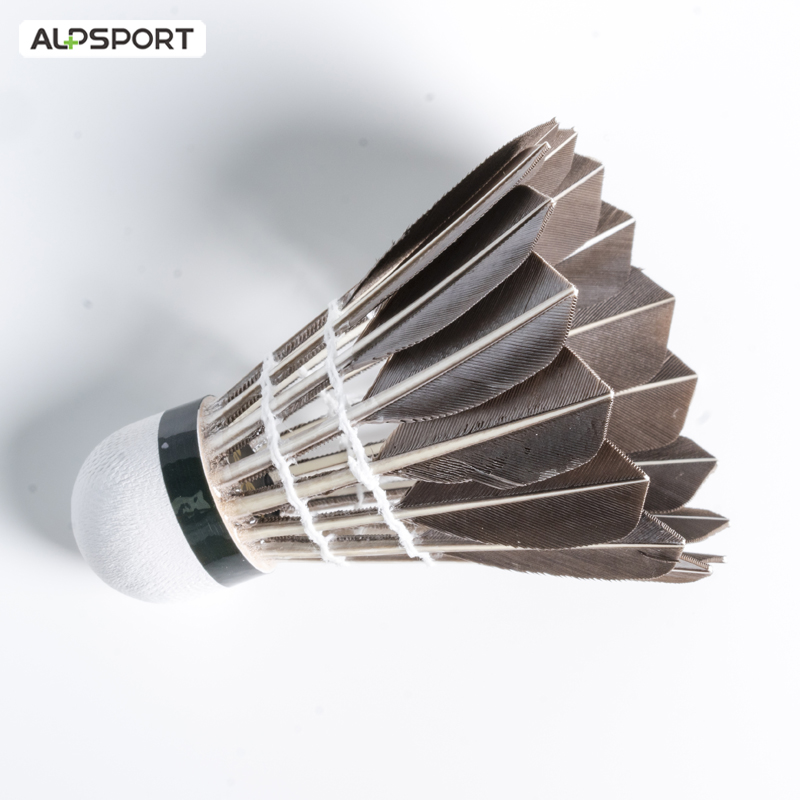 ALP 806 배드민턴 셔틀콕 12개 검은색 거위털 배 - Badminton Victor 리뷰 및 가격