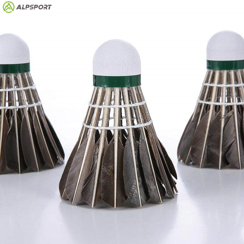 ALP 806 배드민턴 셔틀콕 12개 검은색 거위털 배 - Badminton Victor 리뷰 및 가격